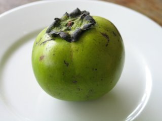 Chocolate Pudding Fruit
